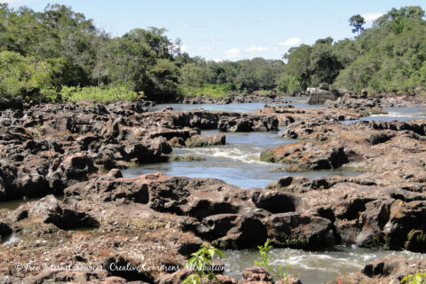 Rio Cautário, Rio Guaporé affluent, Madeira, Brazil